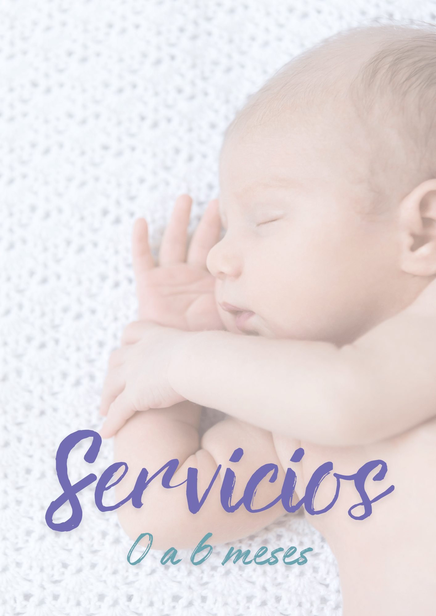 Servicios 06m
